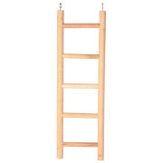 Échelle en bois pour perruche et perroquet