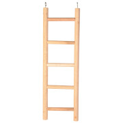 Échelle en bois pour perruche et perroquet