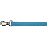 Laisse Expérience bleu taille M/L