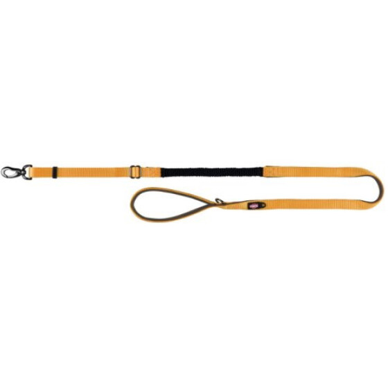 Laisse Expérience avec amortisseur jaune