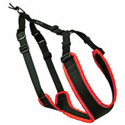 Harnais Canicross Supercross noir et rouge