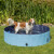 Piscine pour chien