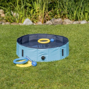 Piscine pour chien