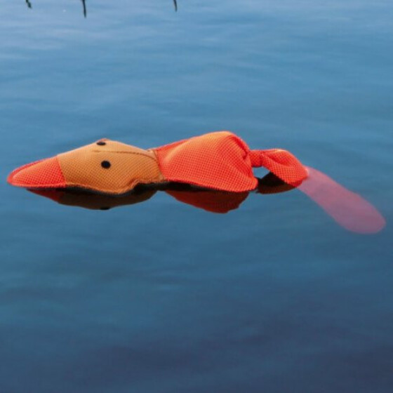 Jouet d'eau Canard orange