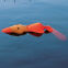 Jouet d'eau Canard orange