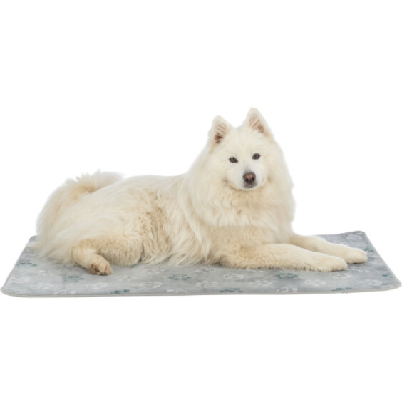 Tapis Jimmy Soft gris à pattes