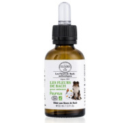 Fleurs de Bach élixir pour animaux peureux