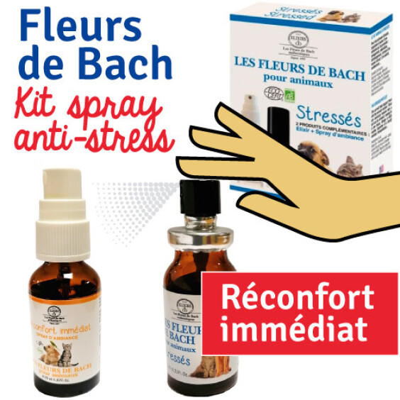 Coffret programme Fleurs de Bach animaux stressés