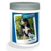 Croissance grand chien