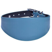 Collier Lévrier Nicky bleu canard