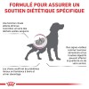 ROYAL CANIN Veterinary Diet Renal special
