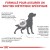 ROYAL CANIN Veterinary Diet Renal special