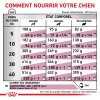 ROYAL CANIN Veterinary Diet Renal special