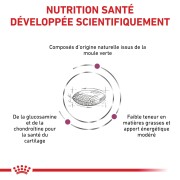 ROYAL CANIN Veterinary Diet Mobility C2P+