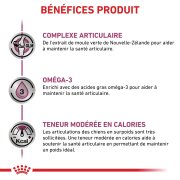 ROYAL CANIN Veterinary Diet Mobility C2P+
