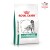 ROYAL CANIN Veterinary Diet Diabetic DS37