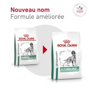 ROYAL CANIN Veterinary Diet Diabetic DS37