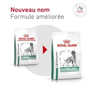 ROYAL CANIN Veterinary Diet Diabetic DS37
