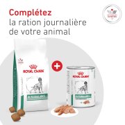 ROYAL CANIN Veterinary Diet Diabetic DS37