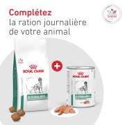 ROYAL CANIN Veterinary Diet Diabetic DS37