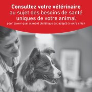 ROYAL CANIN Veterinary Diet Diabetic DS37