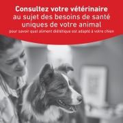 ROYAL CANIN Veterinary Diet Diabetic DS37