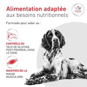 ROYAL CANIN Veterinary Diet Diabetic DS37
