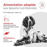 ROYAL CANIN Veterinary Diet Diabetic DS37