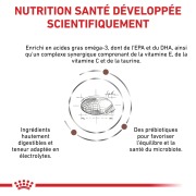 ROYAL CANIN Veterinary Diet Gastro Intestinal Low Fat 6 kg