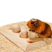 Jouet Rody Brain Train Board 3 balles