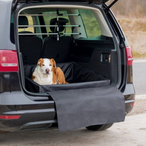 Lit coffre de voiture Friends 60x50