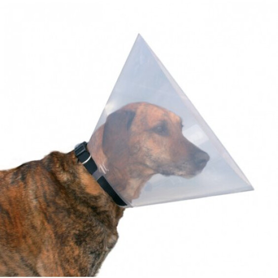 Collerette transparente en plastique pour chien