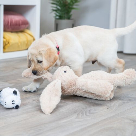 Peluche Lièvre