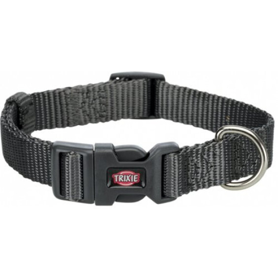 Collier Premium gris pour chien