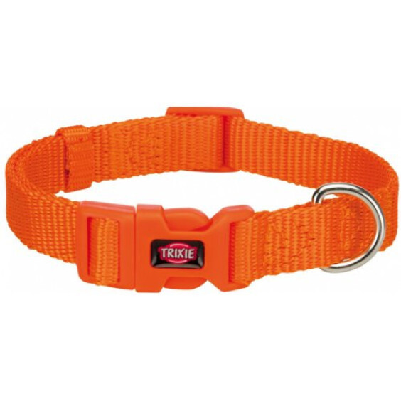 Collier pour chien Premium orange