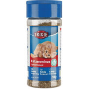 Herbe à chat Catnip saupoudreuse