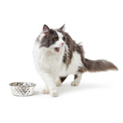 Gamelle luxe design pour chien&chat Namy