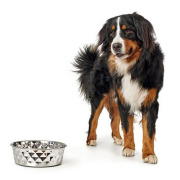 Gamelle luxe pour chien et chat Hunter