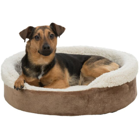 Panier pour gros chien brun