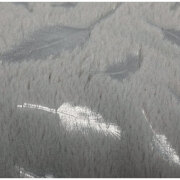 Dôme cachette Feather gris