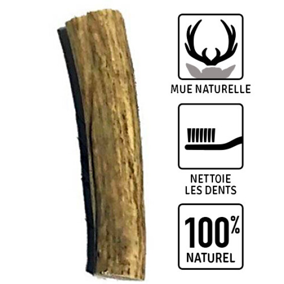 Bois de cerf pour gros chien XL Bubimex