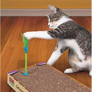 Jouet pour chat Connects