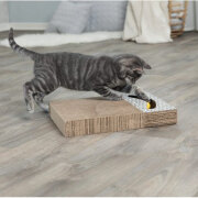 Plaque griffoir carton blanc