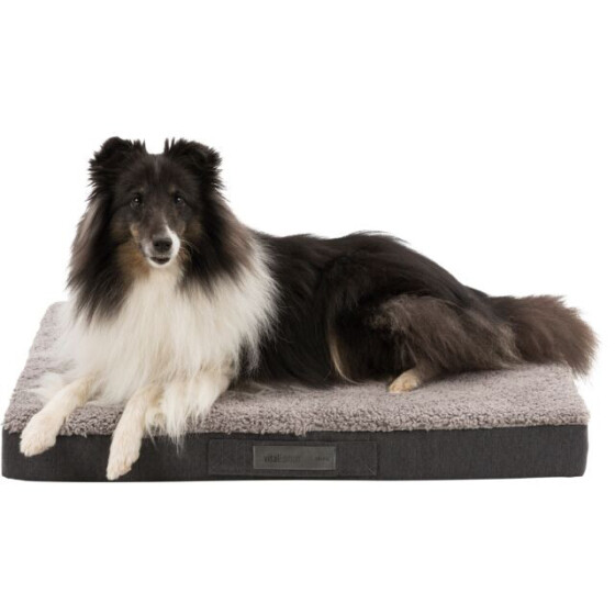 Matelas chien arthrose :  Vital Bendson gris lavable