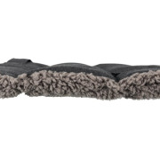 Couverture Vital gris