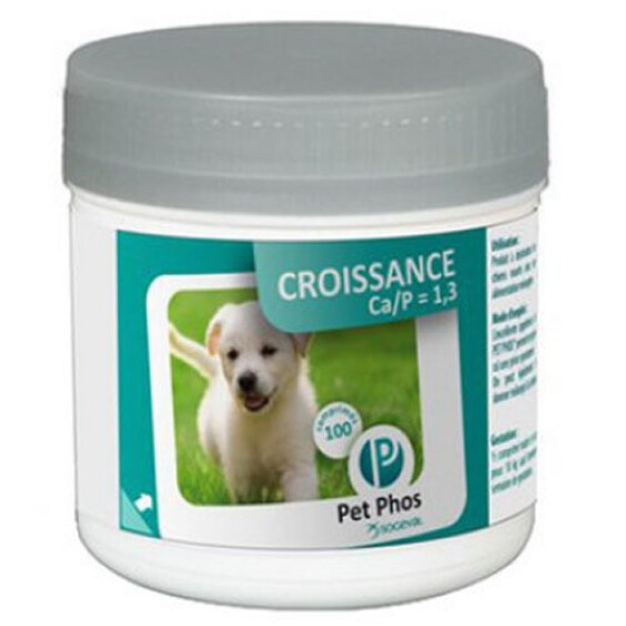 Croissance CA/P=1,3