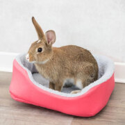 Panier douillet lapin vert et gris