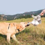 Peluche KONG Stretchezz Legz Elephant