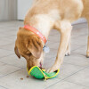 KONG Jouet Ballistic Hide 'n Treat