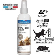 Spray herbe à chat Catnip